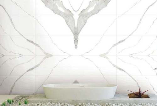 PADARA�ɴu�Ǆ���߀�������